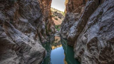 Photo of تنگ لی لی دورود؛ جاذبهای رویایی در لرستان