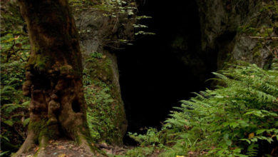 Photo of غار آبیشو ماسال؛ طولانی‌ترین غار استان گیلان